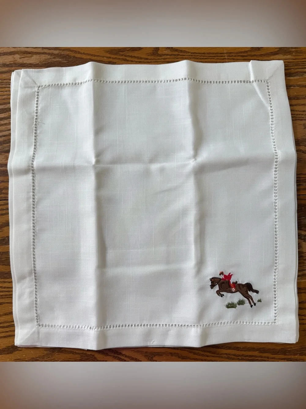 Charles Gallen Irish Home Textiles (Set of 4) 18” x 18” Napkins EQUUS NWT
